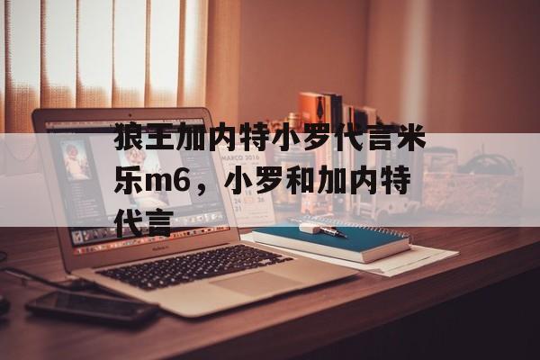 狼王加内特小罗代言米乐m6，小罗和加内特代言