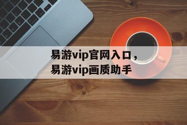 易游vip官网入口，易游vip画质助手